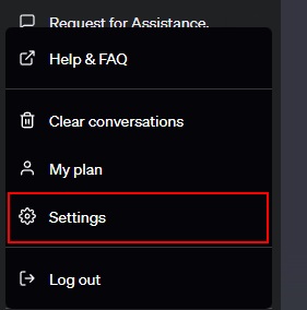 chatgpt-settings-option